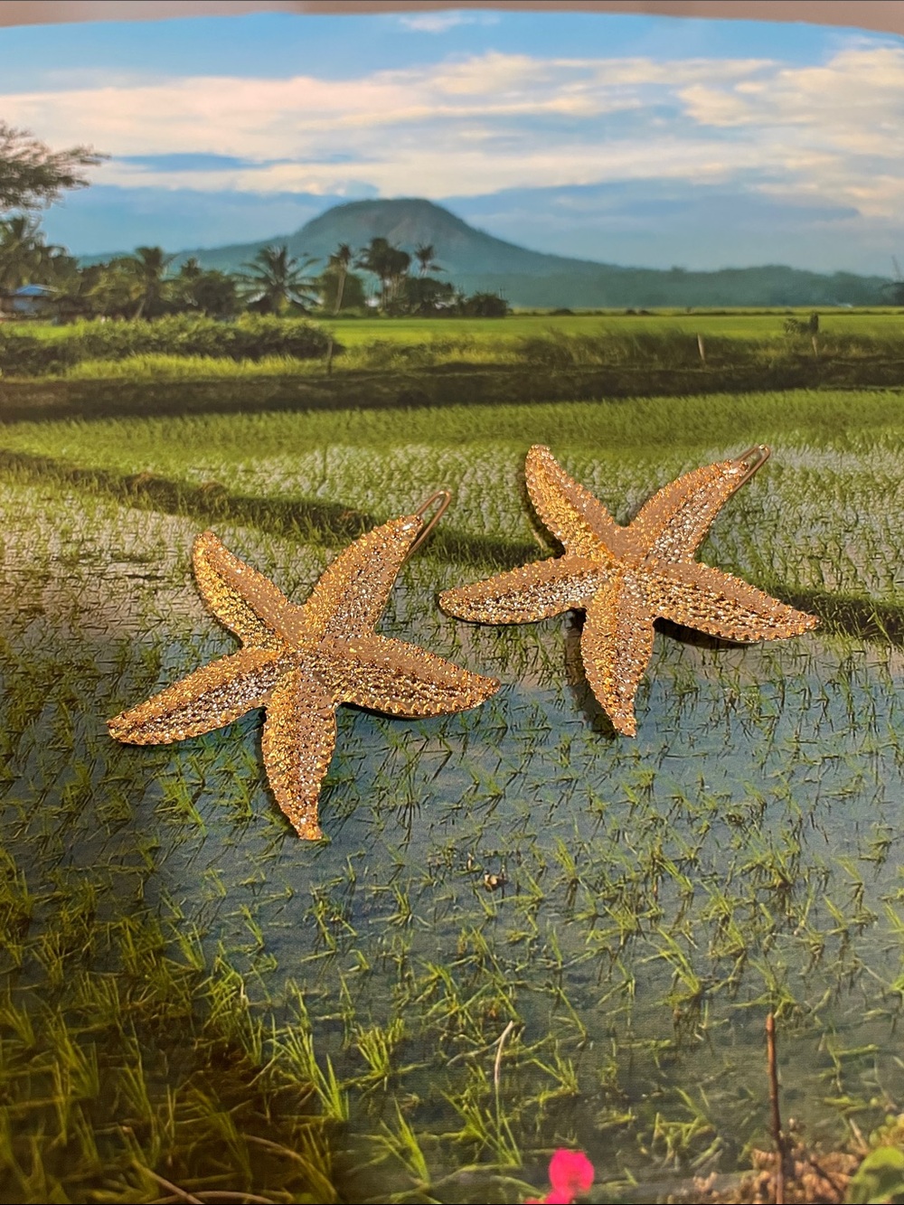Golden Starfish Hairpins
